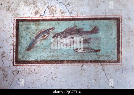 Old frescoes in Pompeii, the ancient Roman city destroyed in AD 79 by the eruption of Mount Vesuvius. UNESCO World Heritage Site. Naples, Italy Stock Photo