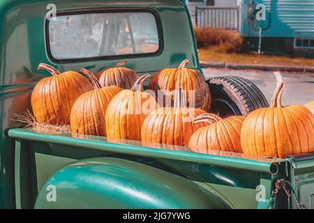 Pumpkins on the back of an old classic truck Stock Photo