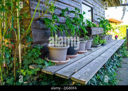 Garden Shed with Tools and Flower Pots in Lower Bavaria Germany Stock Photo