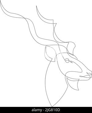 Greater kudu head minimalist drawing. Continuous line art. Vector illustration Stock Vector