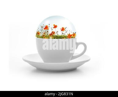 Diorama with poppies in a white cup Stock Photo