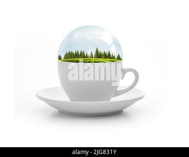 Diorama with fir trees in a white cup Stock Photo