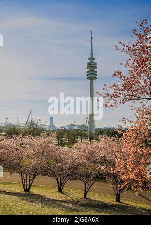 Spring in Olympic Park Munich, Bavaria, Germany Stock Photo