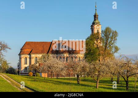 Pilgrimage church Birnau, fruit tree blossom in spring, Unteruhldingen, Lake Constance, Baden-Wuerttemberg, Germany Stock Photo