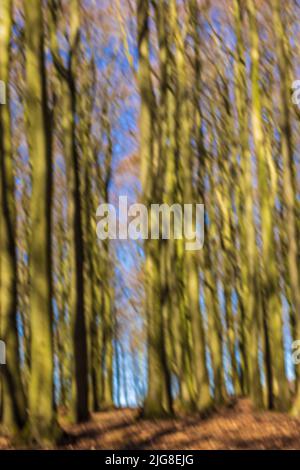 Blurred out of focus forest due to motion blur, background image Stock Photo