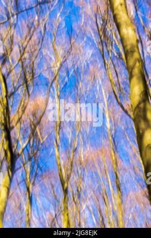 Blurred out of focus forest due to motion blur, background image Stock Photo