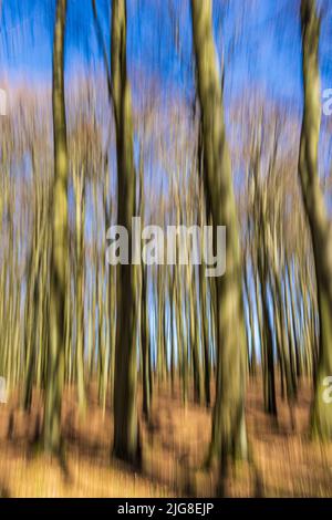 Blurred out of focus forest due to motion blur, background image Stock Photo