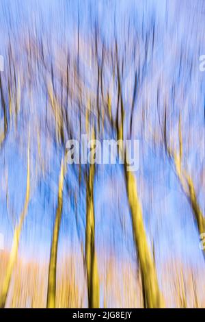 Blurred out of focus forest due to motion blur, background image Stock Photo