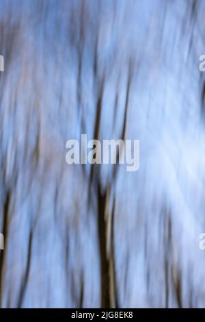 Blurred out of focus forest due to motion blur, background image Stock Photo