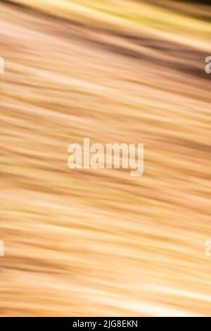 Blurred out of focus forest due to motion blur, background image Stock Photo
