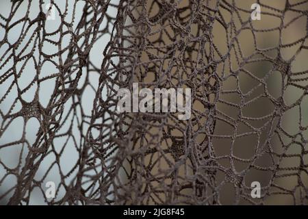 Wicker mesh of threads as a background with a soft blurred focus in the dark as a background ,abstract background Stock Photo