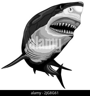 Great White Shark attack with open jaws, ocean animal isolated on white. Original vector illustration Stock Vector