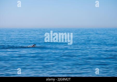 A senior man swimming in the sea, ocean, enjoying active retirement, having fun, taking care of himself, staying fit Stock Photo