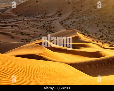 On the road in the dunes of the Rub-al-Khali, Oman. Stock Photo