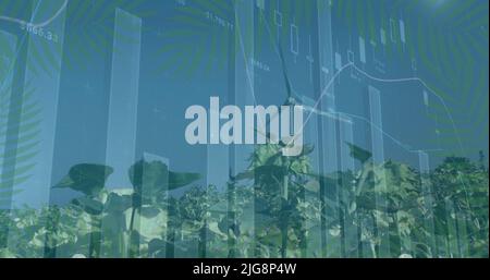 Image of data processing over landscape Stock Photo