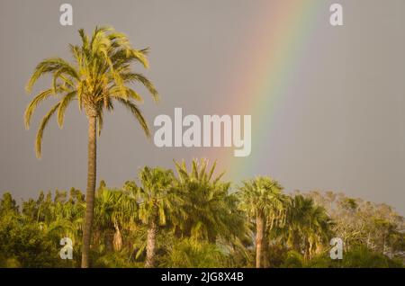Rainbow over a garden. Tecina. San Sebastian de La Gomera. La Gomera. Canary Islands. Spain. Stock Photo