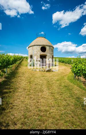 Babo cottage in Rheinhessen, a cottage in the vineyard, so-called trullo, in reference to similar cottages in Apulia, serves as a shelter for the winegrowers in bad weather, Stock Photo