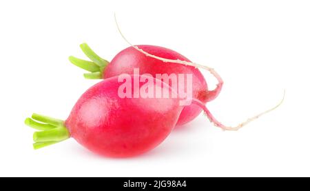 Two raw red radishes isolated on white background Stock Photo