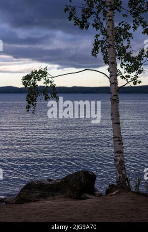 A tranquil Finnish landscape with a birch tree and lake on a blue hour Stock Photo