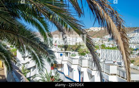 February 2 2022- Landscape with Puerto Rico village and beach on Gran Canaria, Spain .In the foreground are the leaves of a palm tree Stock Photo