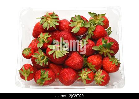 Overhead shot of a plastic clamshell full of fresh ripe strawberries Stock Photo