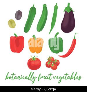 Collection of various hand drawn, colorful vegetables that are botanically classified as fruit, isolated on a white background. Stock Vector