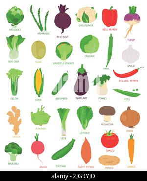 Collection of various hand drawn, colorful vegetables, isolated on a white background. Stock Vector