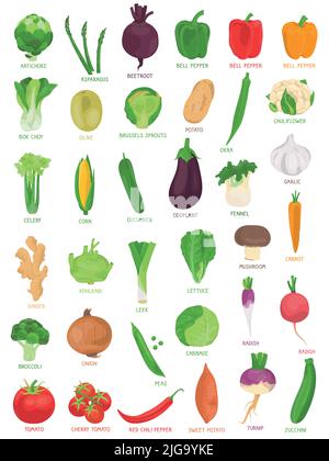 Collection of various hand drawn, colorful vegetables, isolated on a white background. Stock Vector