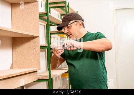 Professional carpenter assembling a wooden shelf in a store using a screwdriver. Concept of work, builder, worker. Stock Photo