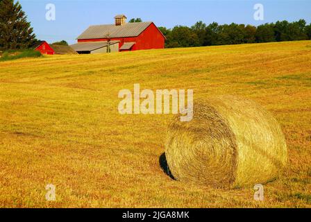 A large roll of hay sits in a meadow near a red barn and farm house on country agriculture land in the Hudson Valley Stock Photo