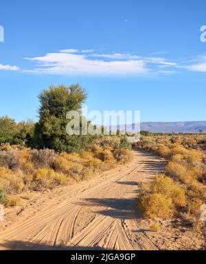 Dirt road through highland savanna. Off road dirt track path in Highland safari, on dry rough terrain in summertime. A empty African landscape of Stock Photo