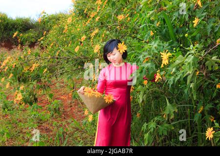 wild sunflowers bloom. A beautiful woman who wears pink traditional long dress is walking through wild sunflowers bloom Stock Photo