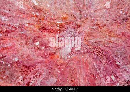 Petri art - a modern technique in painting, is created by adding alcoholic ink to epoxy. Abstract painting, can be used as a trendy background for Stock Photo