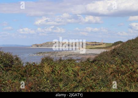 Fossil hunters on the alien landscape of Kilve beach near East Quantoxhead in Somerset, England. The cranes of the construction work at Hinkley point Stock Photo