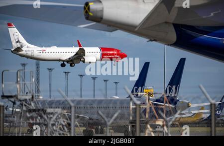 KASTRUP 2022-07-06 A Norwegian Boeing 737-800 aircraft on its way in for landing while SAS Airbus 320 Neo and A350 aircraft are parked with taped sensors and covered engines at Kastrup Airport after the 900 pilots at SAS Scandinavia went on strike. Photo: Johan Nilsson / TT / Code 50090 Stock Photo