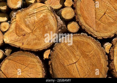Stacked firewood from larch trees with different diameters of branches and tree trunks, Valais, Switzerland Stock Photo