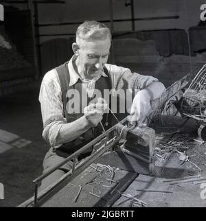 1950s, historical, a male artisan craftsman sitting at a wooden bench working with dried thistle flower heads, England, UK. Stock Photo