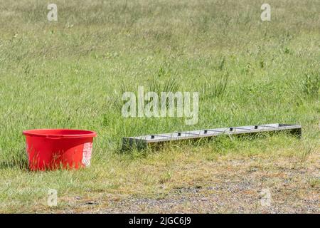 Cattle or animal feeder trough and large water bucket in sunny pasture field. Probably for small-scale rearing of lambs, pet goats or calves. Stock Photo