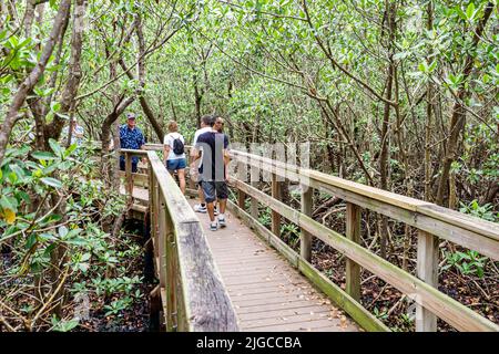 Punta Gorda Florida,Charlotte Harbor Ponce de Leon Park raised boardwalk nature trail path people exploring walking on Stock Photo