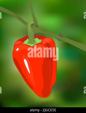 pepper vegetables healthy food icon vector illustration design Stock Vector