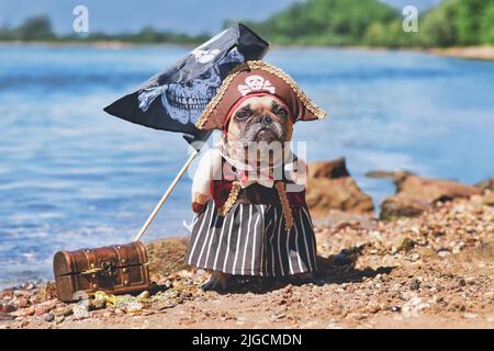 French Bulldog dog dressed up with pirate bride costume with hat, hook arm and dress standing at waterfront Stock Photo