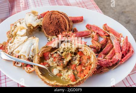 Spider crab (Maja Squinado) cooked and prepared in a ready-to-eat dish Stock Photo
