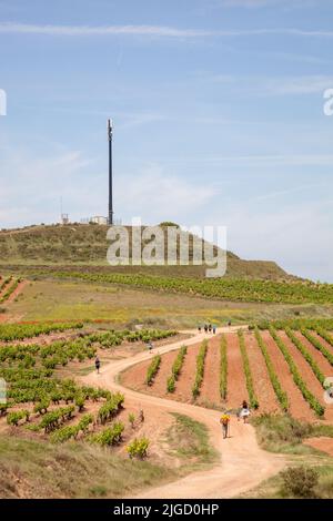Pilgrims hiking through rioja vineyards while walking the Camino de Santiago,  the way of St James trail between Navarrete and Najera Spain Stock Photo