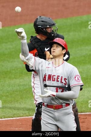 A fan wears a shirt with the face of Los Angeles Angels' Shohei Ohtani  before a baseball game against the Seattle Mariners, Wednesday, April 5,  2023, in Seattle. (AP Photo/Lindsey Wasson Stock