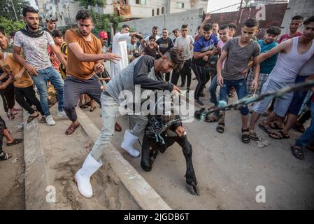 Gaza, Palestine. 09th July, 2022. Palestinians perform Eid al-Adha prayers at sunrise in the southern Gaza Strip. Muslims around the world celebrate Eid al-Adha, or the Feast of the Sacrifice, by sacrificing animals to commemorate the prophet Ibrahim's faith in being willing to sacrifice his son. Credit: SOPA Images Limited/Alamy Live News Stock Photo