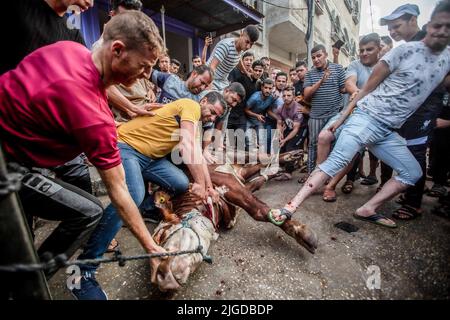 Gaza, Palestine. 09th July, 2022. Palestinians perform Eid al-Adha prayers at sunrise in the southern Gaza Strip. Muslims around the world celebrate Eid al-Adha, or the Feast of the Sacrifice, by sacrificing animals to commemorate the prophet Ibrahim's faith in being willing to sacrifice his son. (Photo by Yousef Masoud/SOPA Images/Sipa USA) Credit: Sipa USA/Alamy Live News Stock Photo