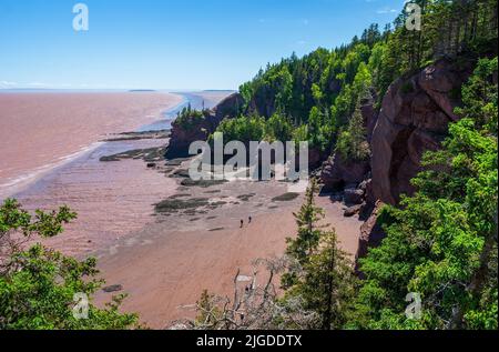 Tourists exploring the Hopewell Rocks at low tide. Hopewell Rocks Provincial Park, Bay of Fundy, New Brunswick, Canada Stock Photo