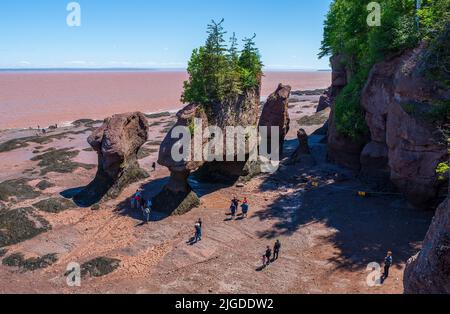 Tourists exploring the Hopewell Rocks at low tide. Hopewell Rocks Provincial Park, Bay of Fundy, New Brunswick, Canada Stock Photo