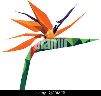 Bird of paradise flower plant in low poly polygon design. Vector logo illustration Stock Vector