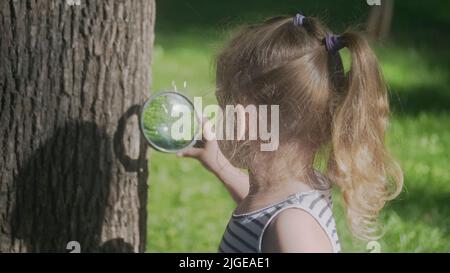 Little girl looks through the lens at insects on tree trunk. Close-up of blonde girl is studying ants while looking at them through magnifying glass o Stock Photo